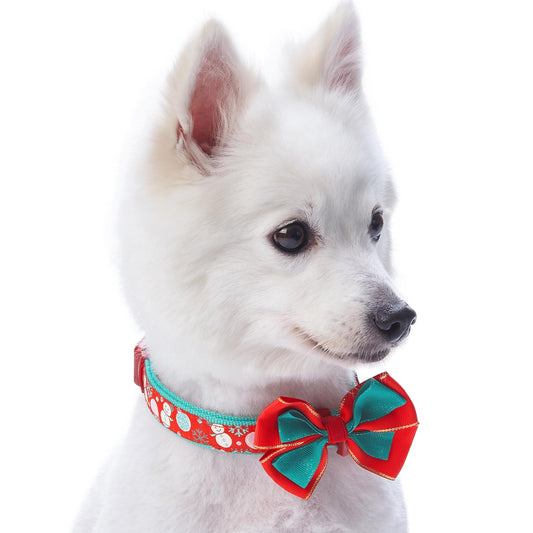 Moments of Joy Christmas Dog Collar