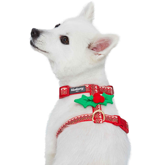 Christmas Zigzag Chevron Dog Harness
