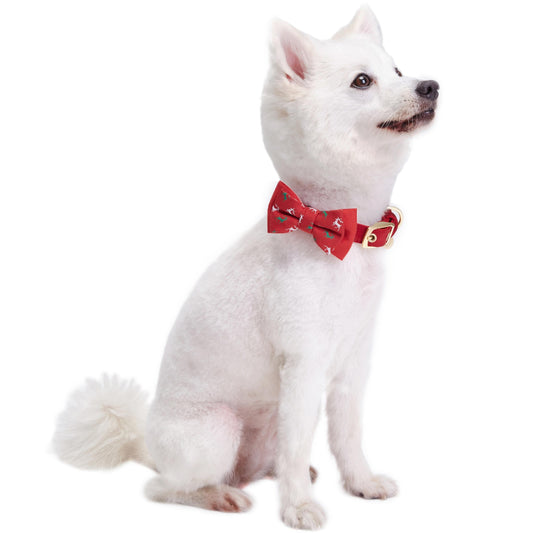 Luxurious Christmas Festival Dog Collar