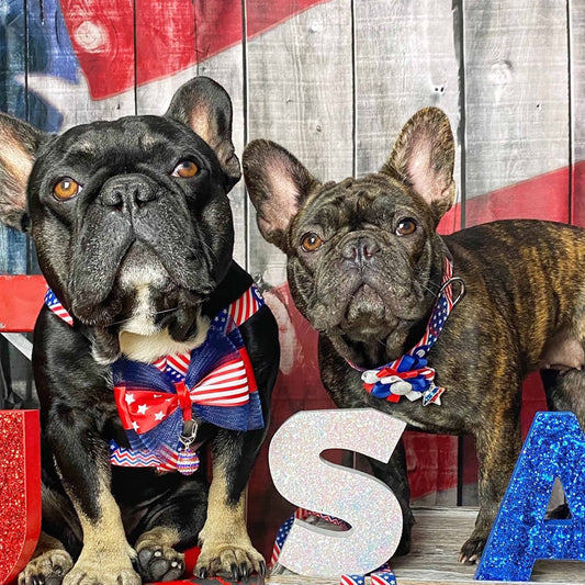 American Flag Dog Collar