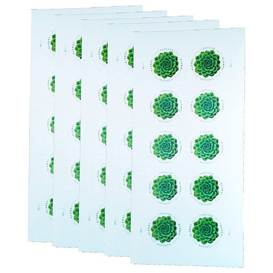 2017 π₯5 Booklets/100 Pcs