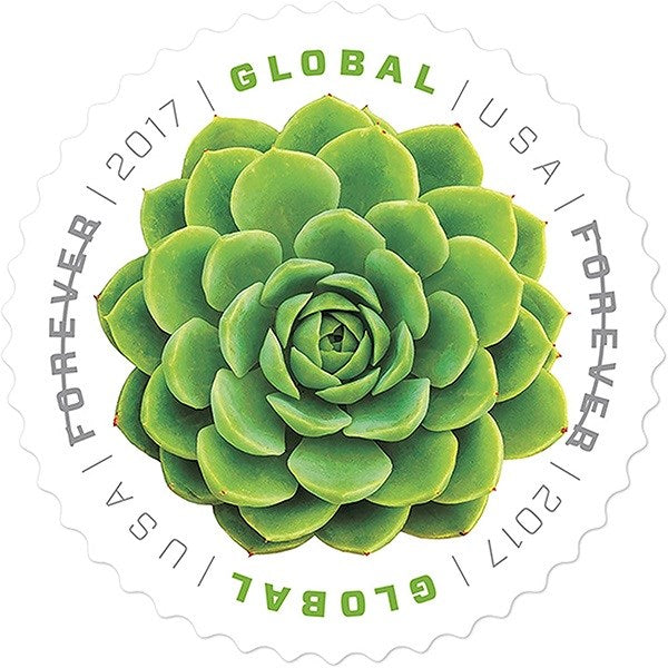 2017 π₯5 Booklets/100 Pcs