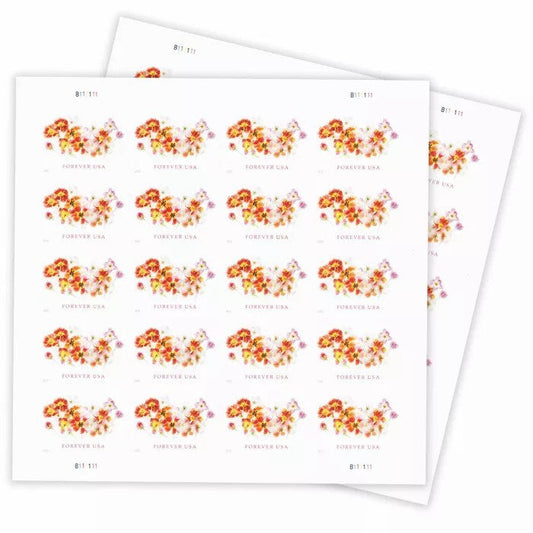 2022 π₯5 Booklets/100 Pcs