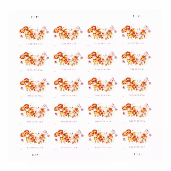 2022 π₯5 Booklets/100 Pcs