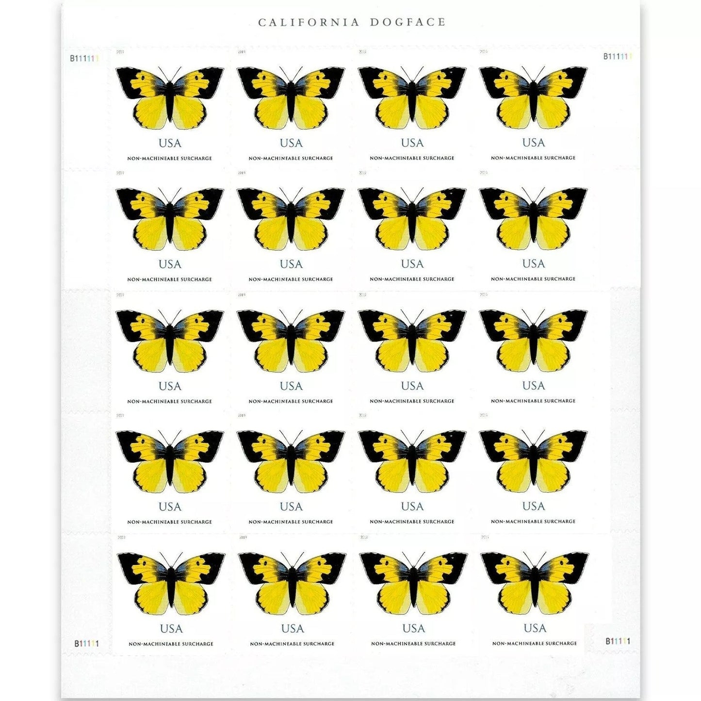2019 π₯5 Booklets/100 Pcs