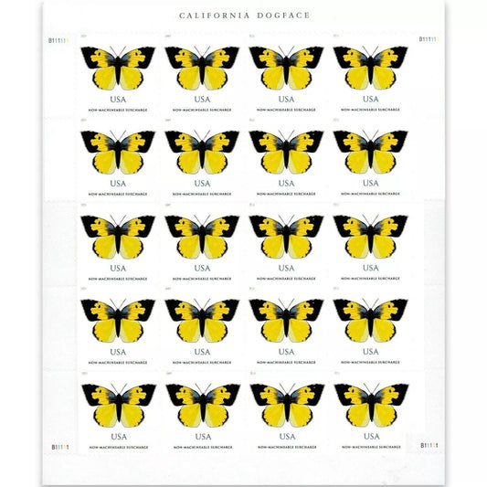 2019 π₯5 Booklets/100 Pcs