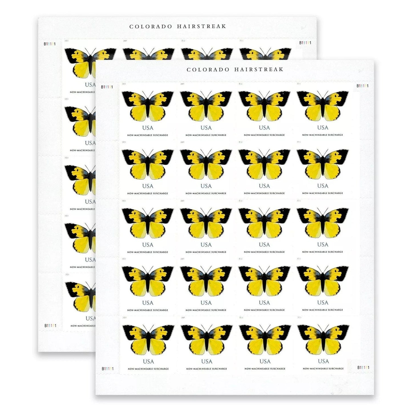 2019 π₯5 Booklets/100 Pcs