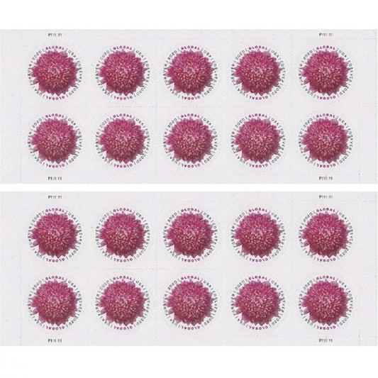 2020 🔥5 Booklets/100 Pcs