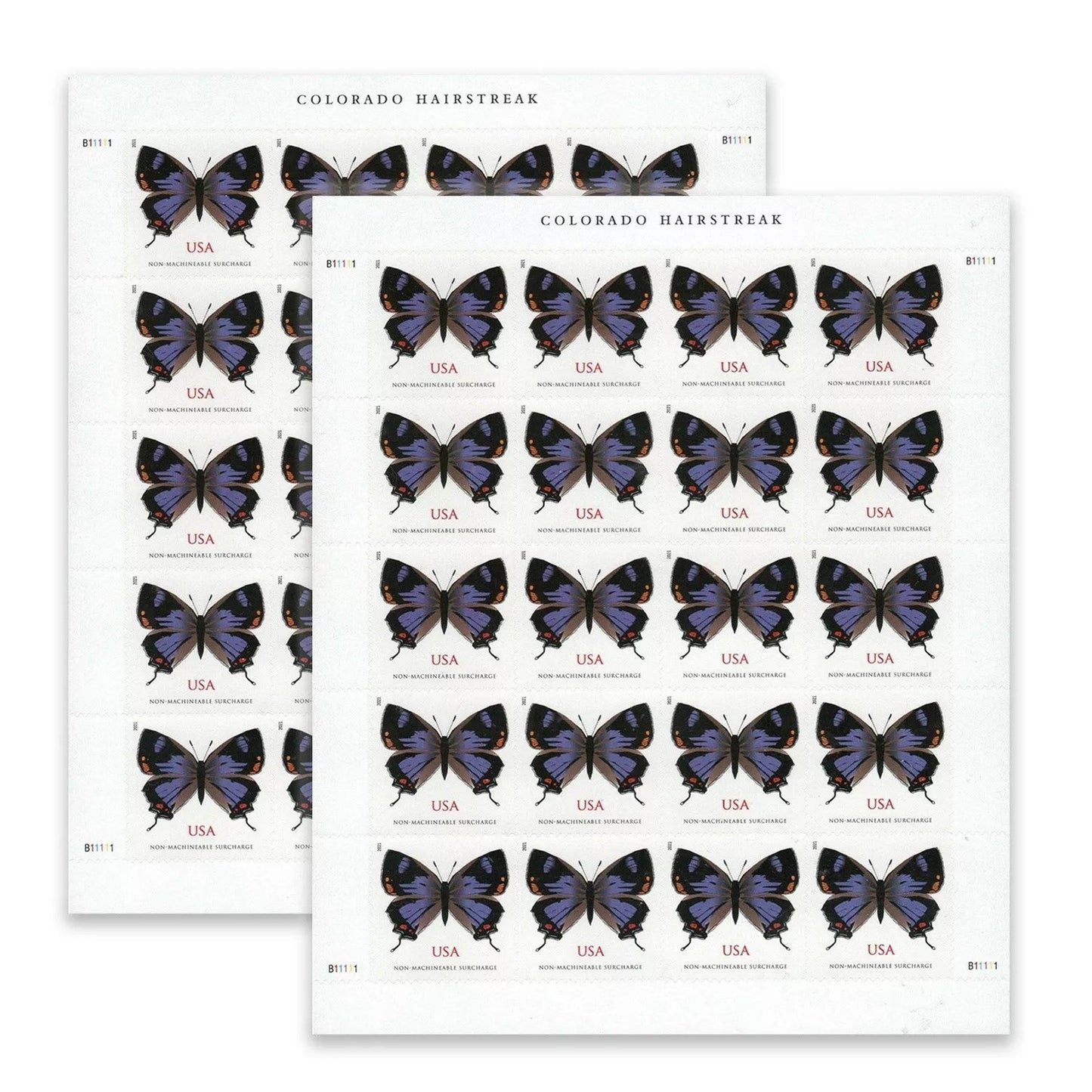 2021 π₯5 Booklets/100 Pcs