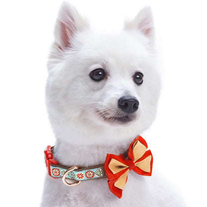 Moments of Joy Christmas Dog Collar