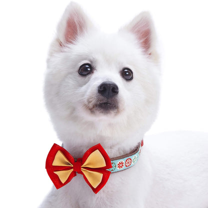 Moments of Joy Christmas Dog Collar