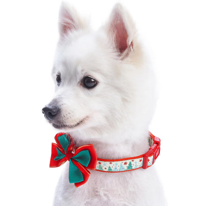 Moments of Joy Christmas Dog Collar