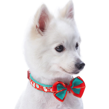 Moments of Joy Christmas Dog Collar