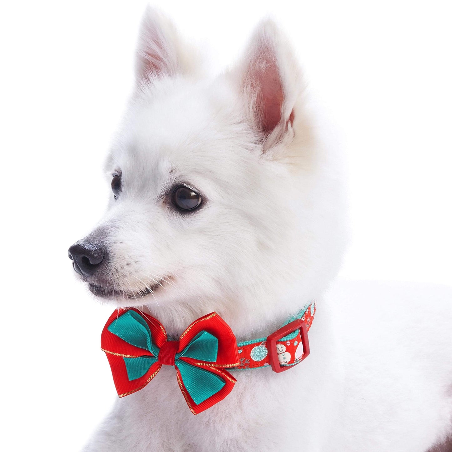 Moments of Joy Christmas Dog Collar