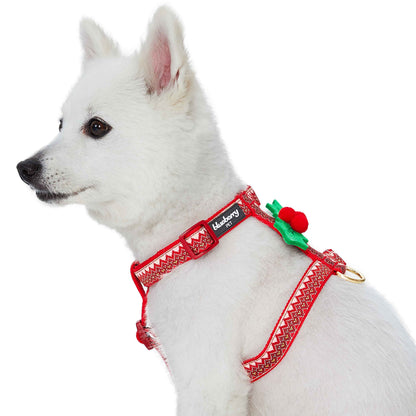 Christmas Zigzag Chevron Dog Harness