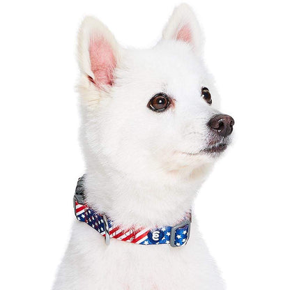 American Flag Dog Collar