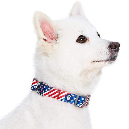American Flag Dog Collar