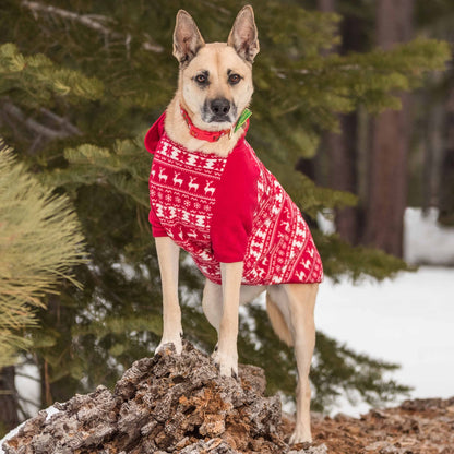 Christmas Dog Collar with Blingy Décor