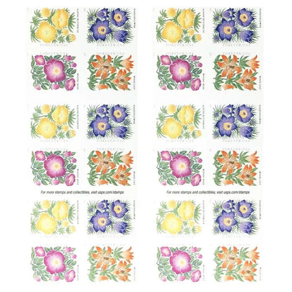 2022 🔥5 Booklets/100 Pcs