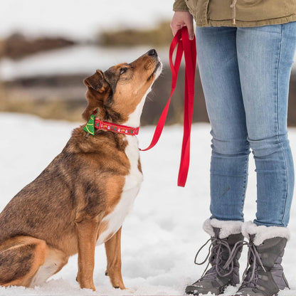 Christmas Dog Collar with Blingy Décor