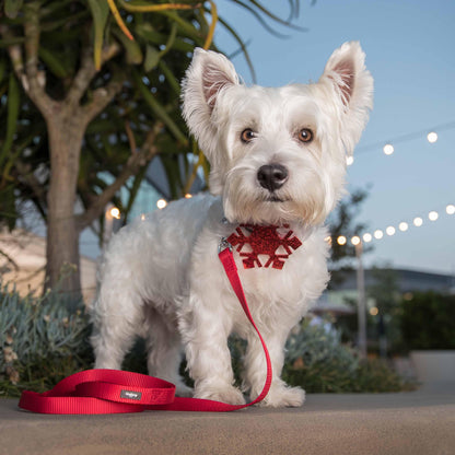 Christmas Dog Collar with Blingy Décor