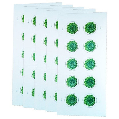 2017 🔥5 Booklets/100 Pcs