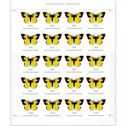 2019 🔥5 Booklets/100 Pcs