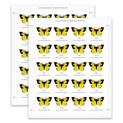 2019 🔥5 Booklets/100 Pcs