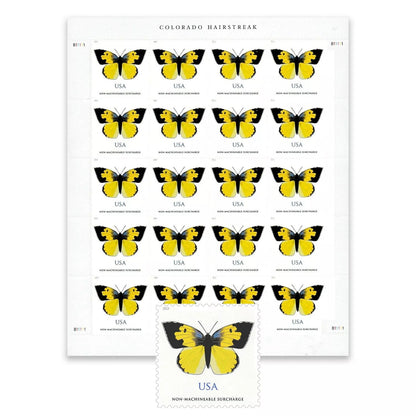 2019 🔥5 Booklets/100 Pcs