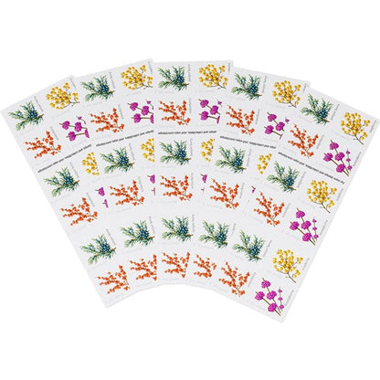 2019 🔥5 Booklets/100 Pcs