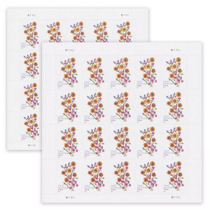 2022 🔥5 Booklets/100 Pcs