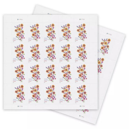 2022 🔥5 Booklets/100 Pcs